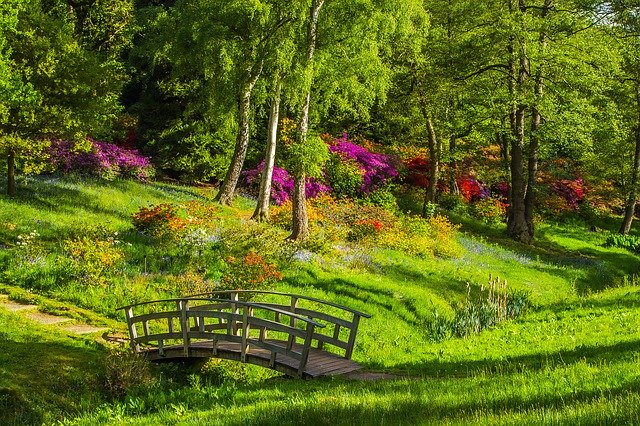 Cara Membuat Batu Alam Untuk Taman Sederhana Tapi Cantik